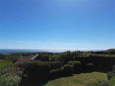 Picture 38